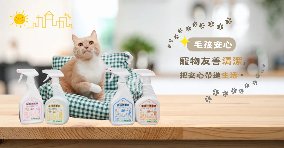 第二張